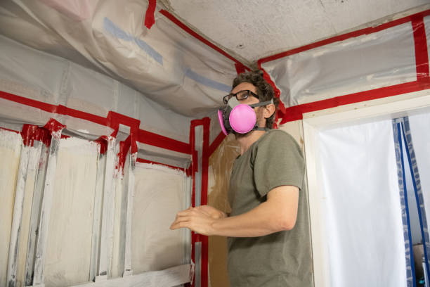 Best Mold Documentation for Insurance Claims  in Claymont, DE