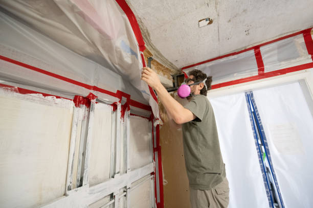 Best Mold Prevention Services  in Claymont, DE