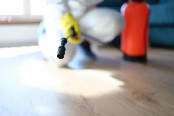 Best Emergency Mold Remediation  in Claymont, DE