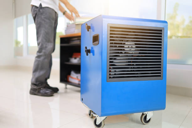 Reliable Claymont, DE Mold Removal Solutions